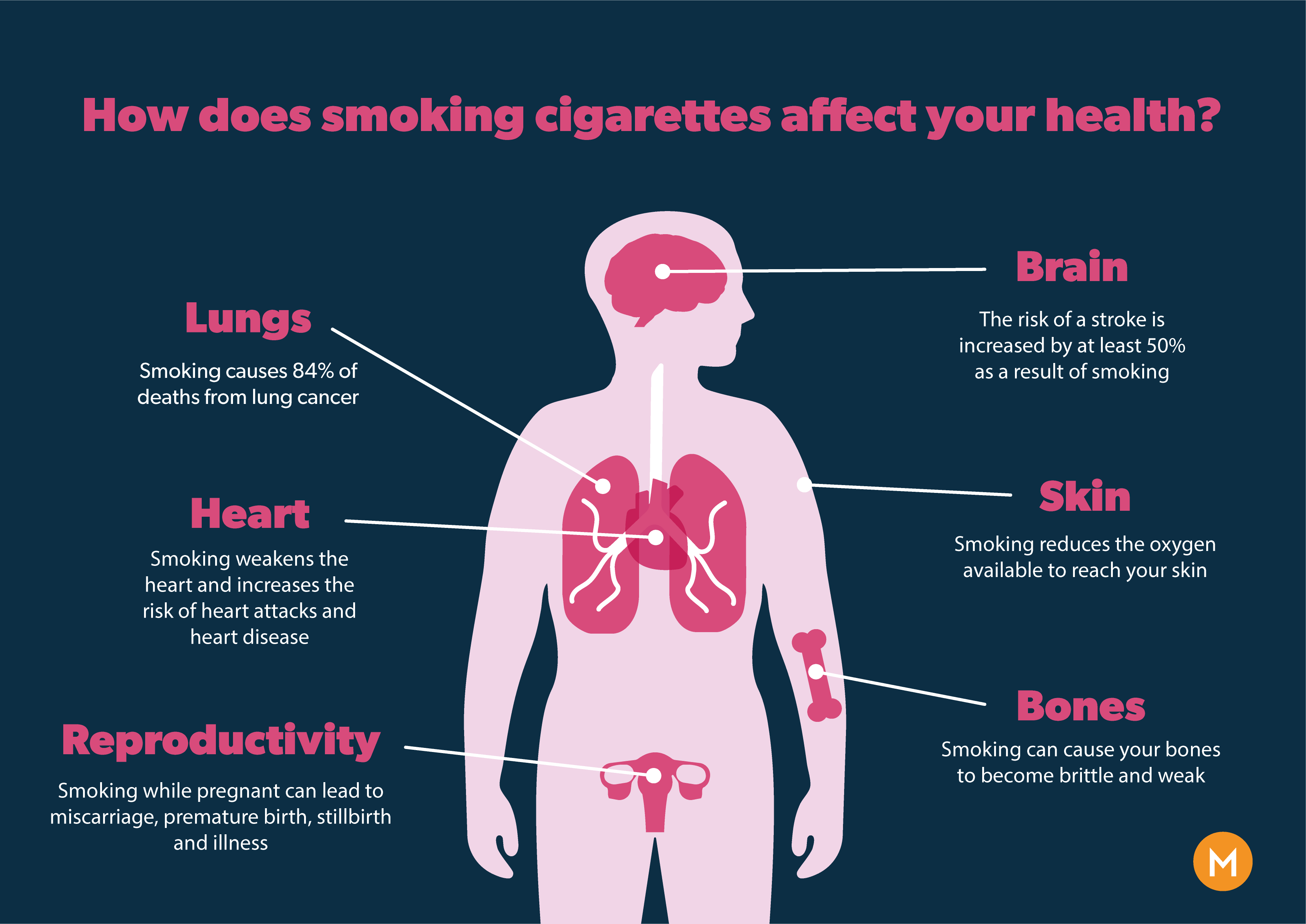 vaping vs smoking anatomy